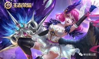 小乔爆料相关视频,幕后故事大公开