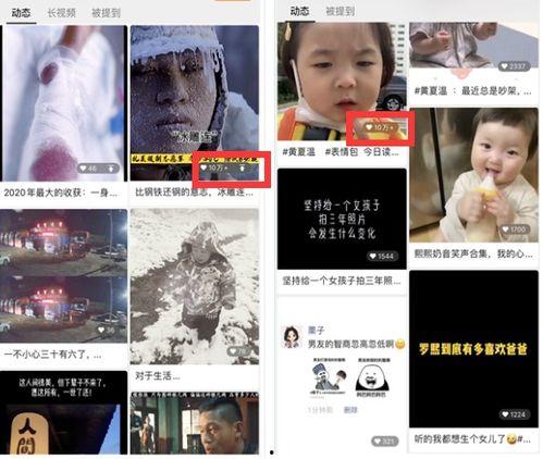 达哥现场爆料视频下载免费,揭秘幕后真相，免费下载独家内容