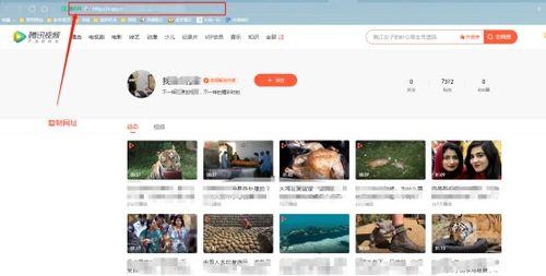 拍客新闻爆料怎么做的视频,从素材到成品的蜕变