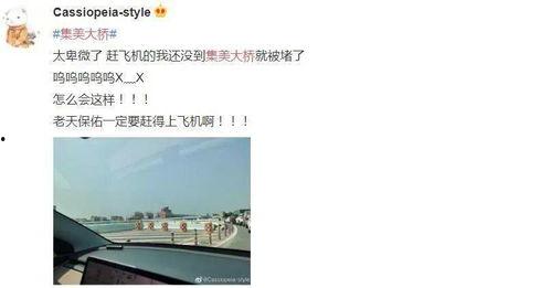 厦门今日爆料,聚焦城市热点事件与幕后真相