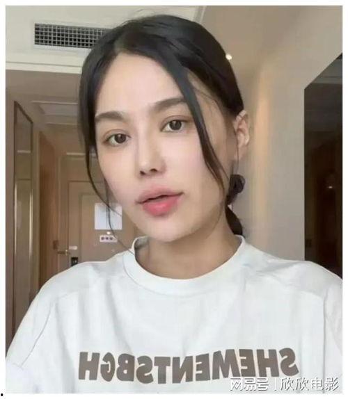 樊小慧事件最新爆料视频,真相再起波澜，疑云重重引关注