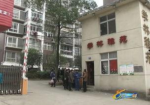 郑州小区物业爆料视频,揭露惊人内幕，业主权益谁来守护？