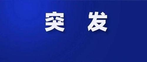日本员工爆料视频网站,揭秘视频网站幕后真相