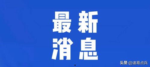 热点爆料阳江新闻,热点爆料揭示惊人内幕，揭秘背后真相！