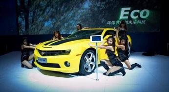 爆料大仙汽车视频下载,独家爆料带你领略汽车世界