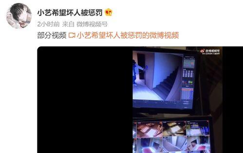 第一视频爆料,揭秘娱乐圈惊人内幕