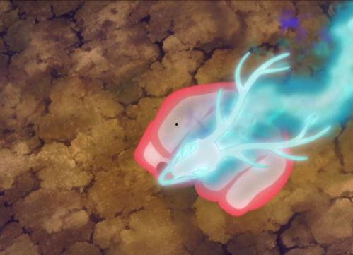 火影忍者爆料细节大全视频,揭秘视频中的关键爆料细节大盘点