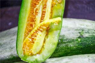 可以吃网红瓜的连接,跟随链接探寻网络热点背后的故事