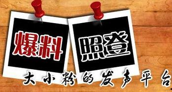 新闻大爆料入口,独家内幕，热点事件深度解析