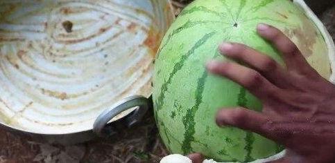 吃网红黑瓜视频大全,揭秘网络红人幕后趣事