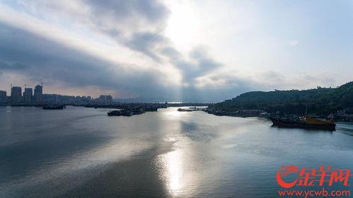 汕尾城市爆料事件始末最新消息,真相追踪与舆论发酵全纪录