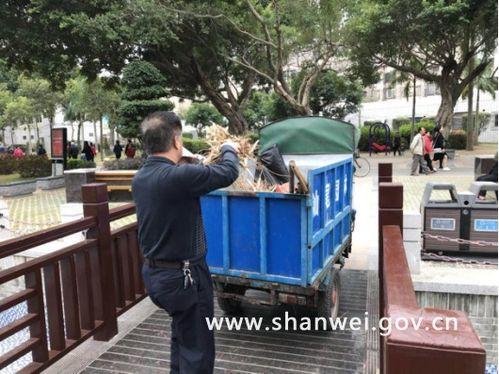 汕尾城市爆料事件始末最新消息,真相追踪与舆论发酵全纪录