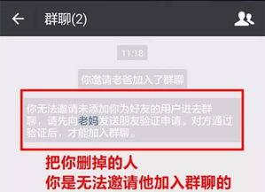 唐山微信爆料最新消息,突发事件引发关注，详情即将揭晓
