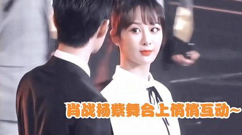 娱乐爆料肖战杨紫恋爱史,从荧幕情侣到绯闻缠身，揭秘他们的恋爱历程