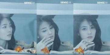 白鹿爆料结局视频大全下载,揭秘剧情高潮与结局悬念