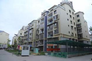 城南小区最新爆料信息,揭秘神秘事件背后的真相