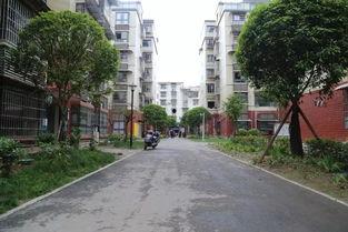 城南小区最新爆料信息,揭秘神秘事件背后的真相