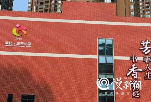 重庆沙坪坝小学爆料新闻,校园事件引发社会关注