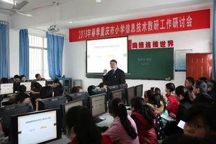 重庆沙坪坝小学爆料新闻,校园事件引发社会关注