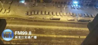 最新爆料暴雪视频播放大全,视频播放大全精彩回顾