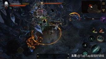 最新爆料暴雪视频播放大全,视频播放大全精彩回顾