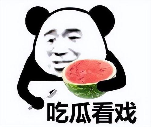 娱乐吃瓜君沙雕