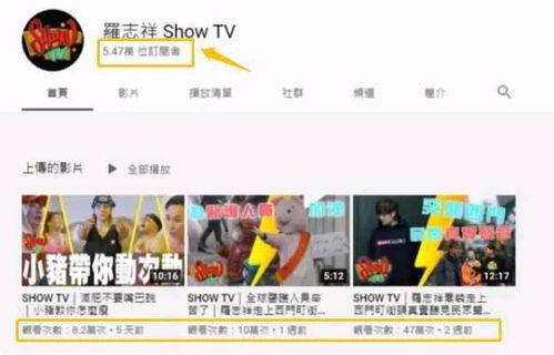 视频收入爆料怎么做的呢,如何轻松实现收益增长