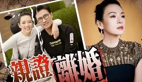 刘大锤爆料获奖名单最新,最新获奖名单大揭秘！