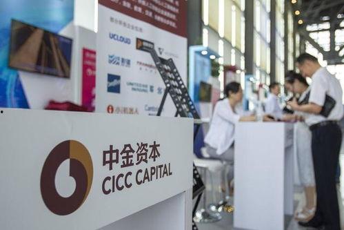 中金公司爆料新闻最新,揭秘市场重大动态与潜在影响