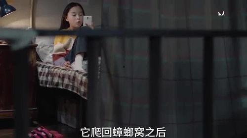 小男孩爆料姐姐视频大全,姐姐视频大全幕后真相大曝光