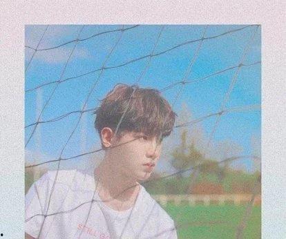 娱乐吃瓜君迪丽热巴,娱乐圈的瓜王，揭秘明星背后的故事